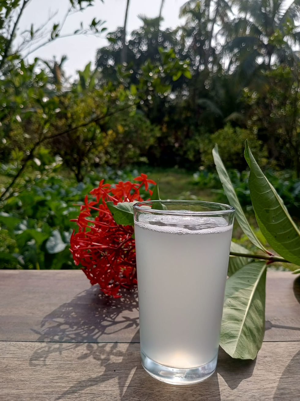 Thumbnail: খেজুরের রস (খেজুরের রস)