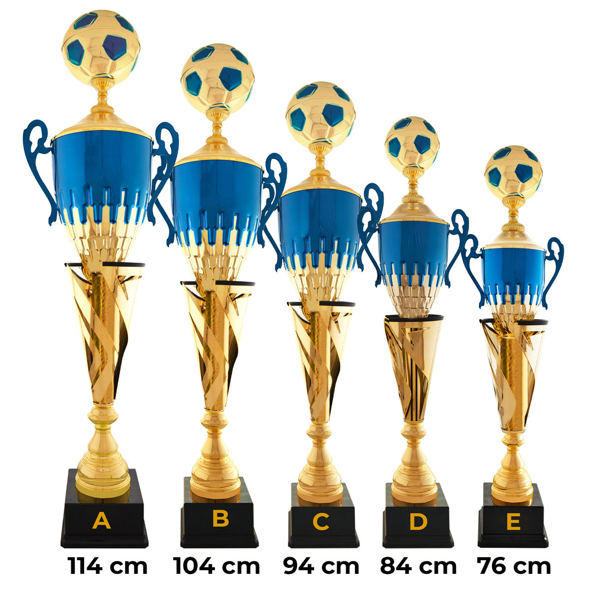 Trofeo máximo azul