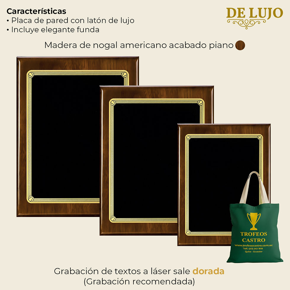 Miniatura: Placa de lujo Florentine