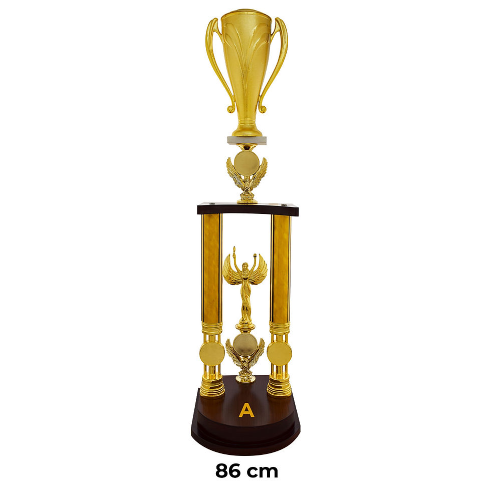 Miniatura: Trofeo avola