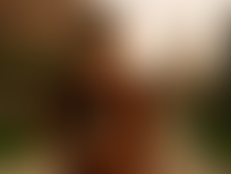 📚 Novo E-book Gratuito no Ar: Católicos na Universidade