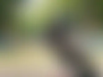 Nunca se soube tanto e se dialogou tão pouco