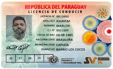 CNH Paraguai.png