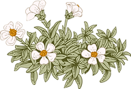 Botany