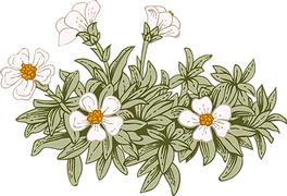 Botany
