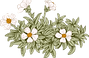 Botany