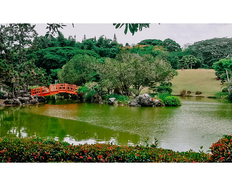 Picture of the Botanical Garden in Santo Domingo, Jardin Botanico