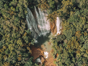 Excursion: Visit the "El Limón" waterfall in Samaná