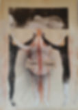 Bosk_Obra: Pagines Viscudes
