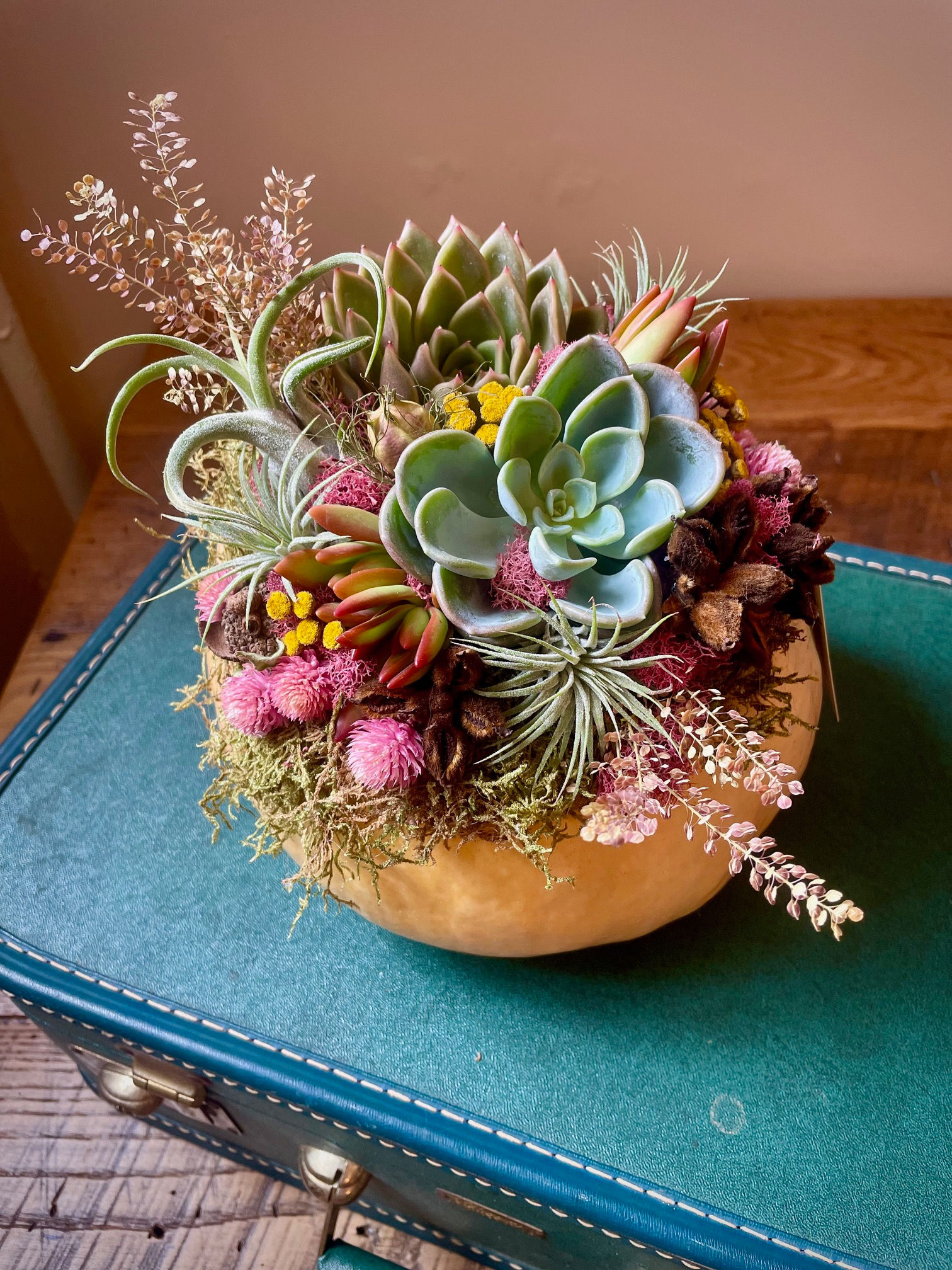 Succulent Pumpkin Workshop