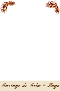 PRESENTATION - 8 .png