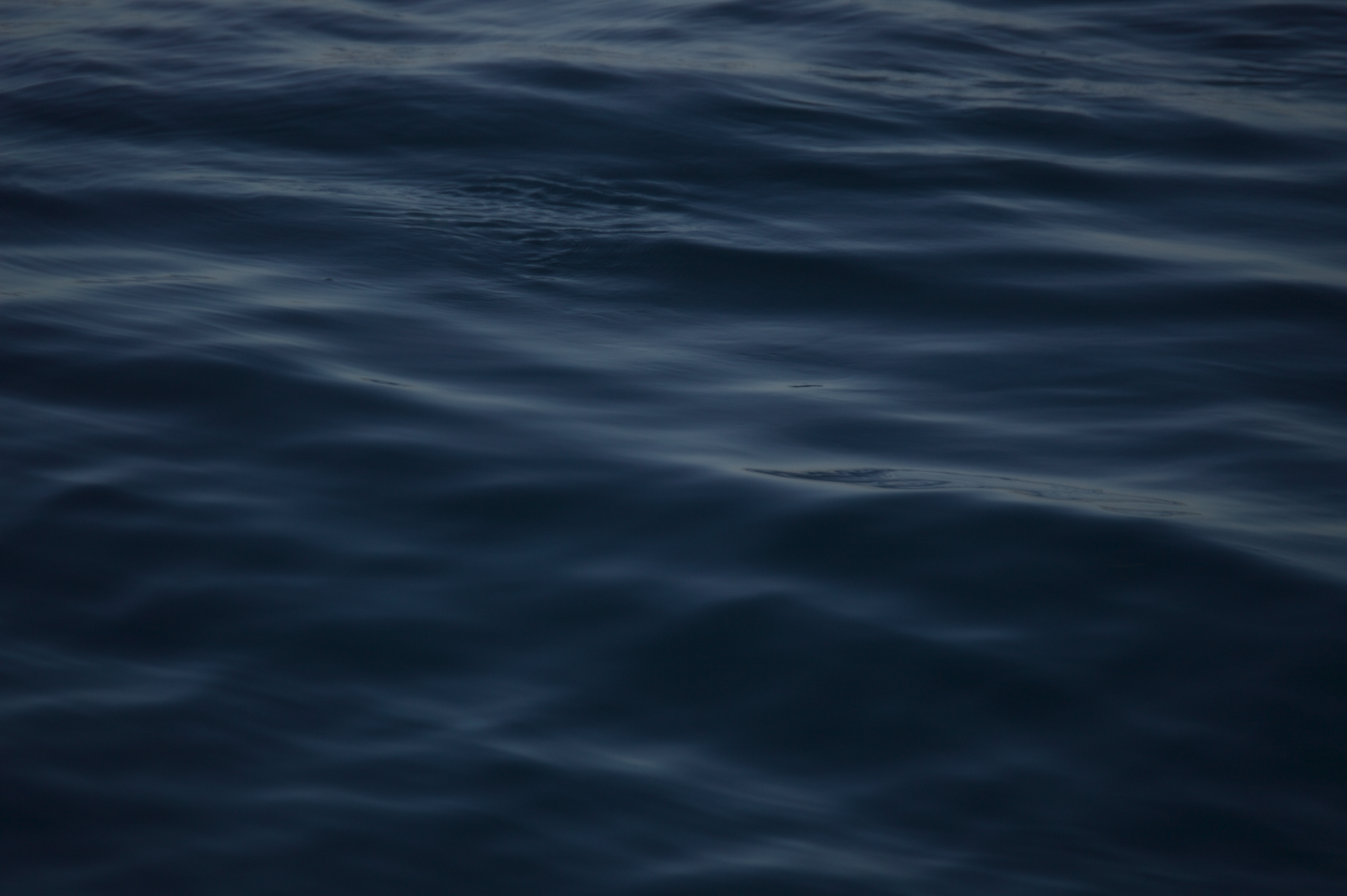 Catalina Ripples | Fine Art Print
