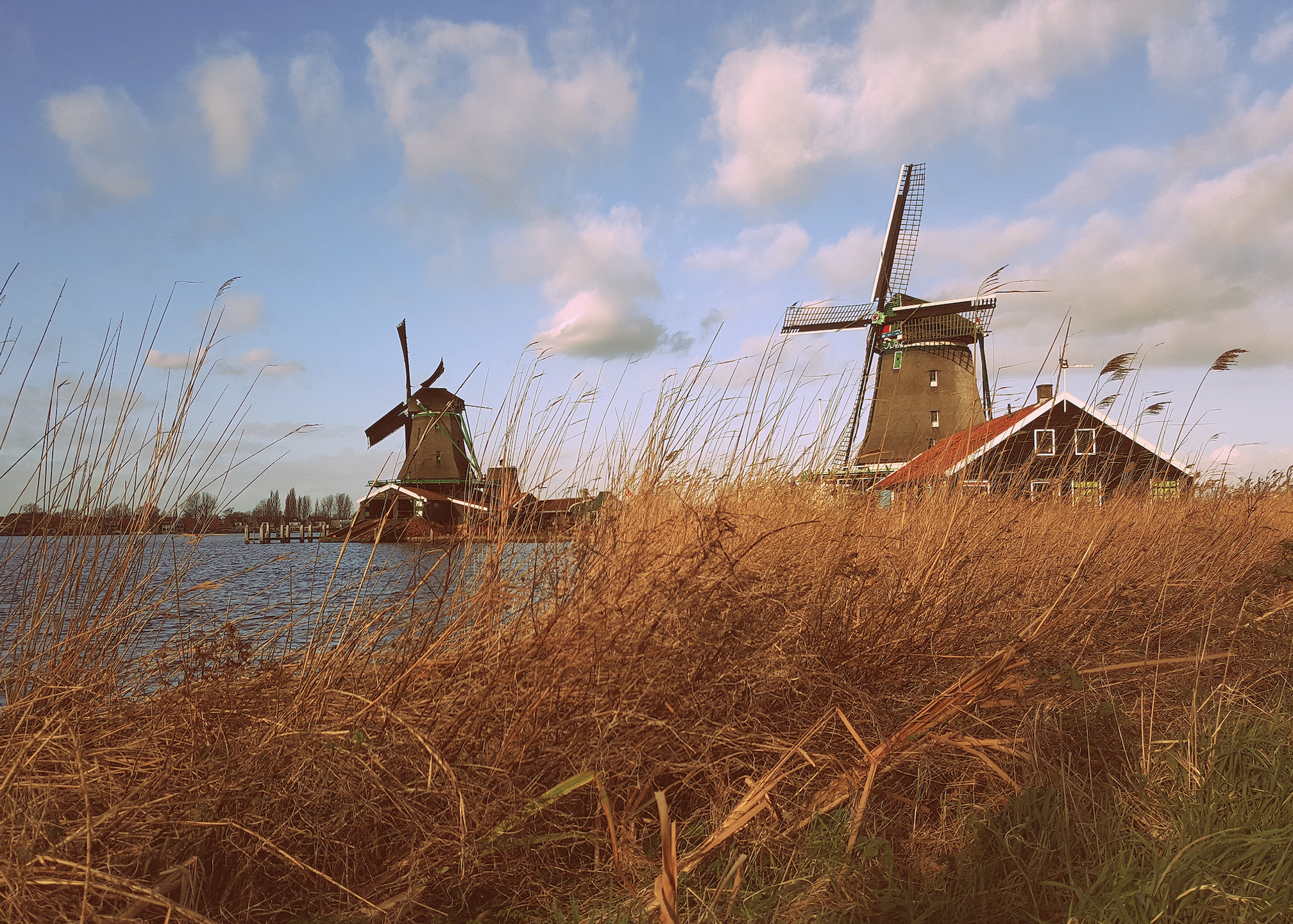 Zaanse Schans | Gallery Wrap Canvas Wrap 1.5"