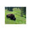 Thumbnail: Yellowstone Grazing Bison Wildlife Fine Art Poster | Wildlife 