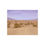 Thumbnail: Death Valley National Park Fine Art Poster | National Park 