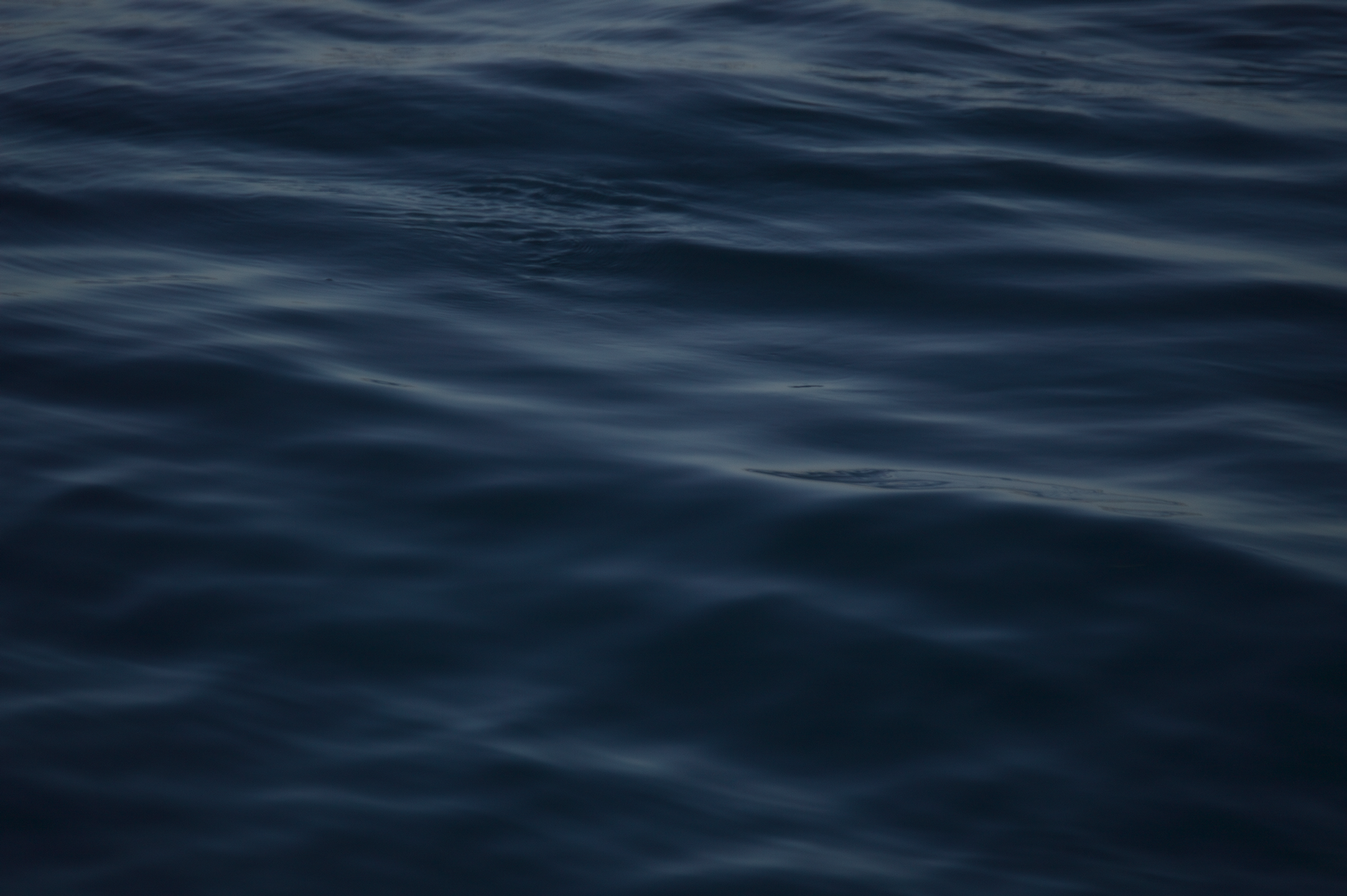 Catalina Ripples | Gallery Wrap Canvas Wrap 1.5"