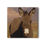 Thumbnail: Wild Burro Wildlife Ceramic Coaster | Wildlife 