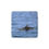Thumbnail: Dolphin Surfacing Wildlife 2" Porcelain Magnet | Wildlife 