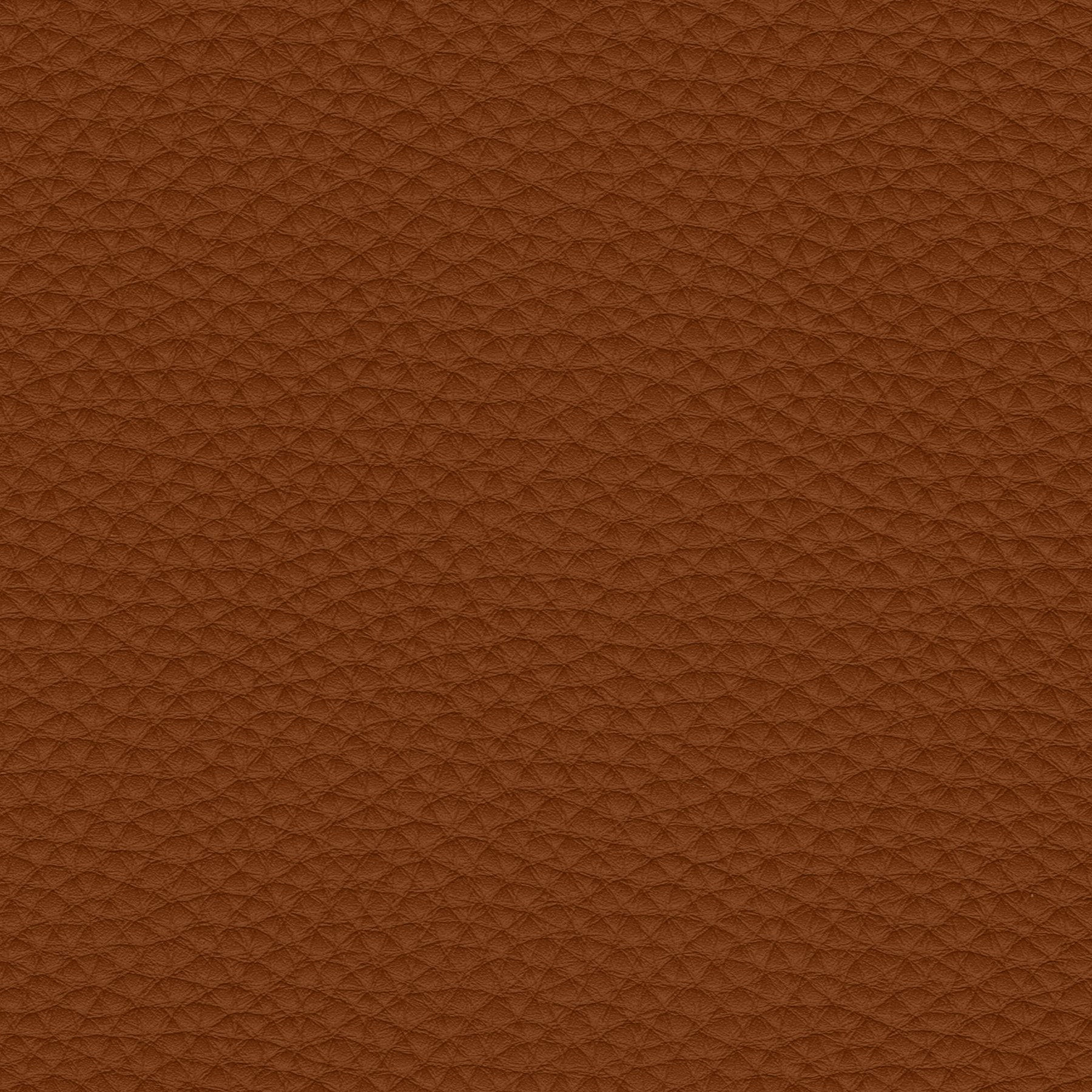 Mont Blanc 2677 nature