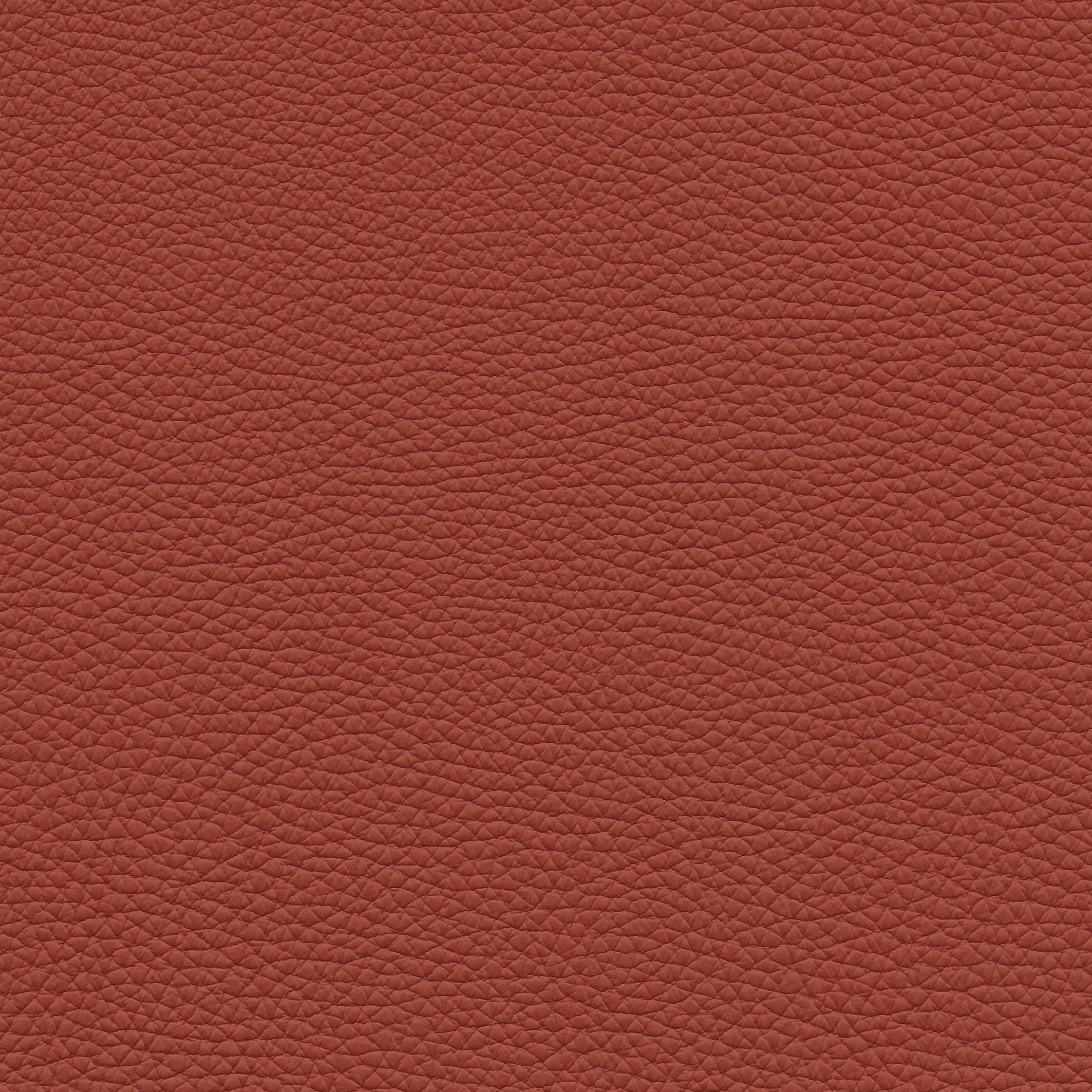 Napoli 4818 mandarine