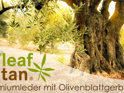 O'leaf tan® - Premiumleder mit Olivenblattgerbung