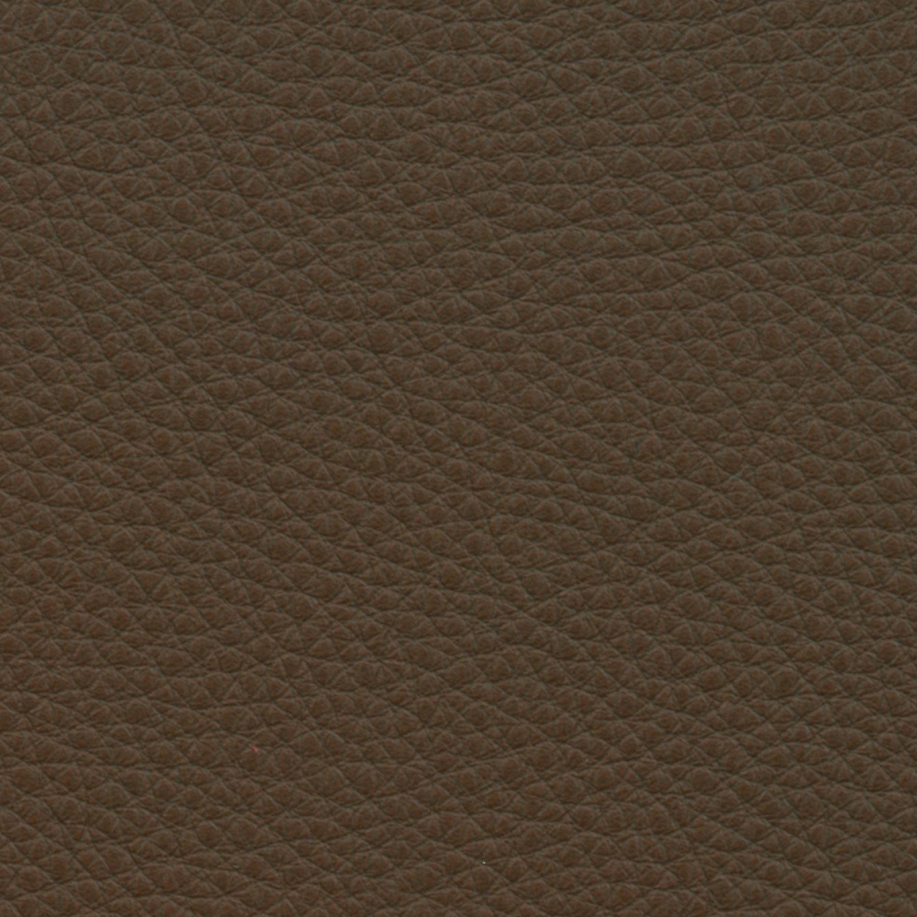 California 2350 truffle