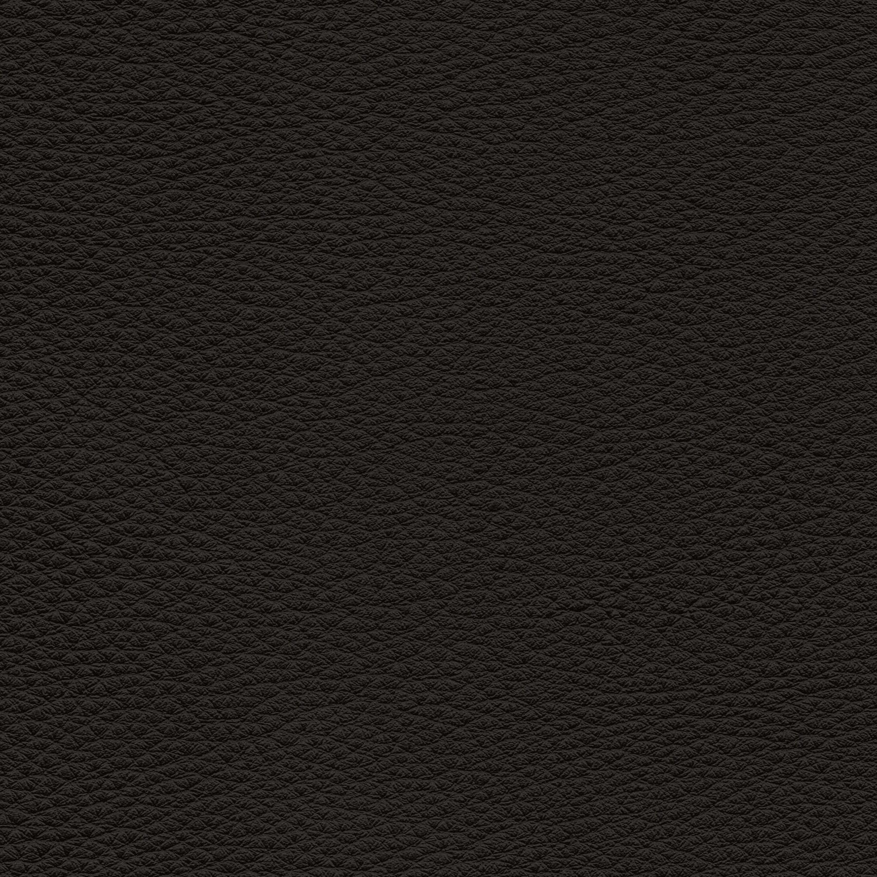 Mont Blanc 1292 clift