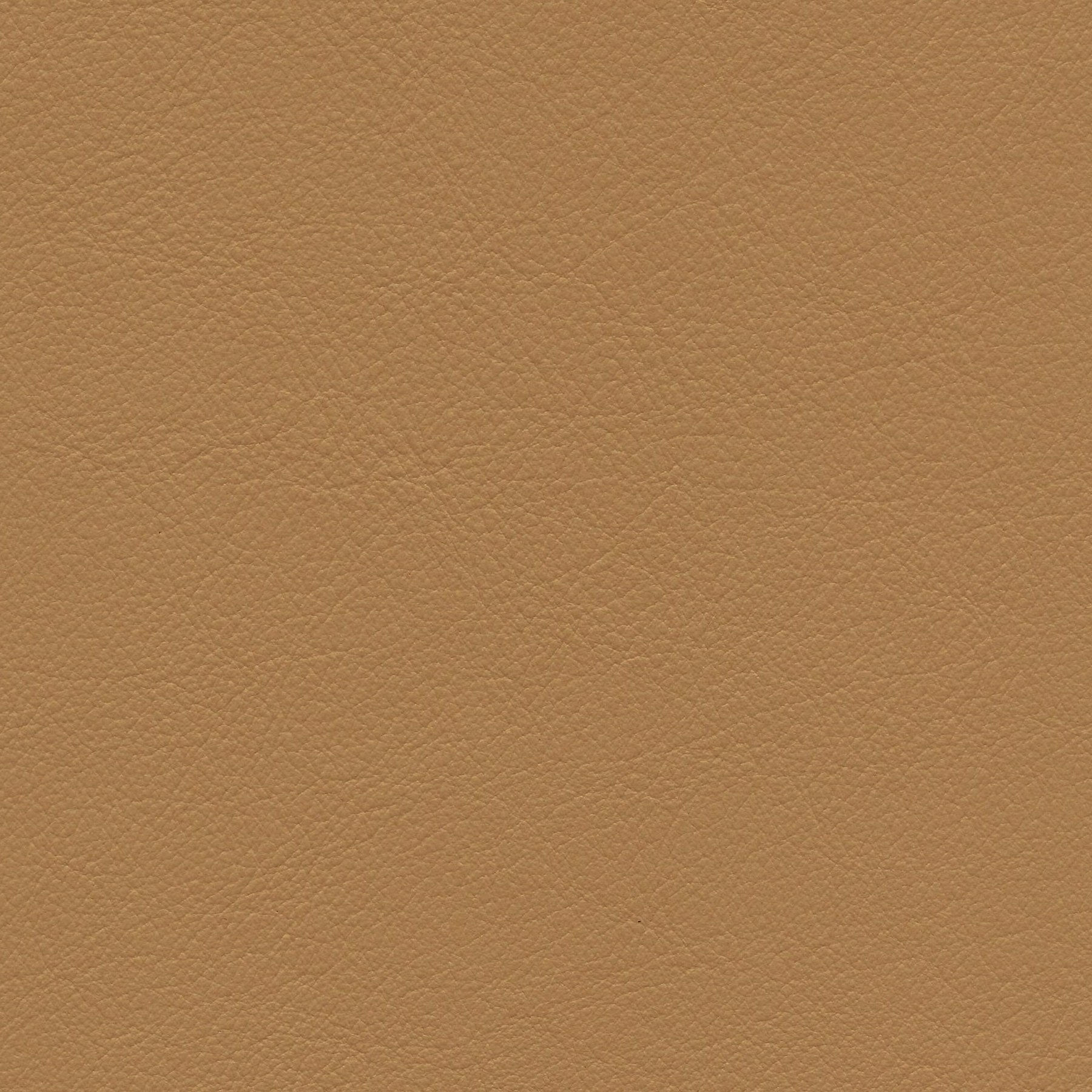 Airport 3228 beige