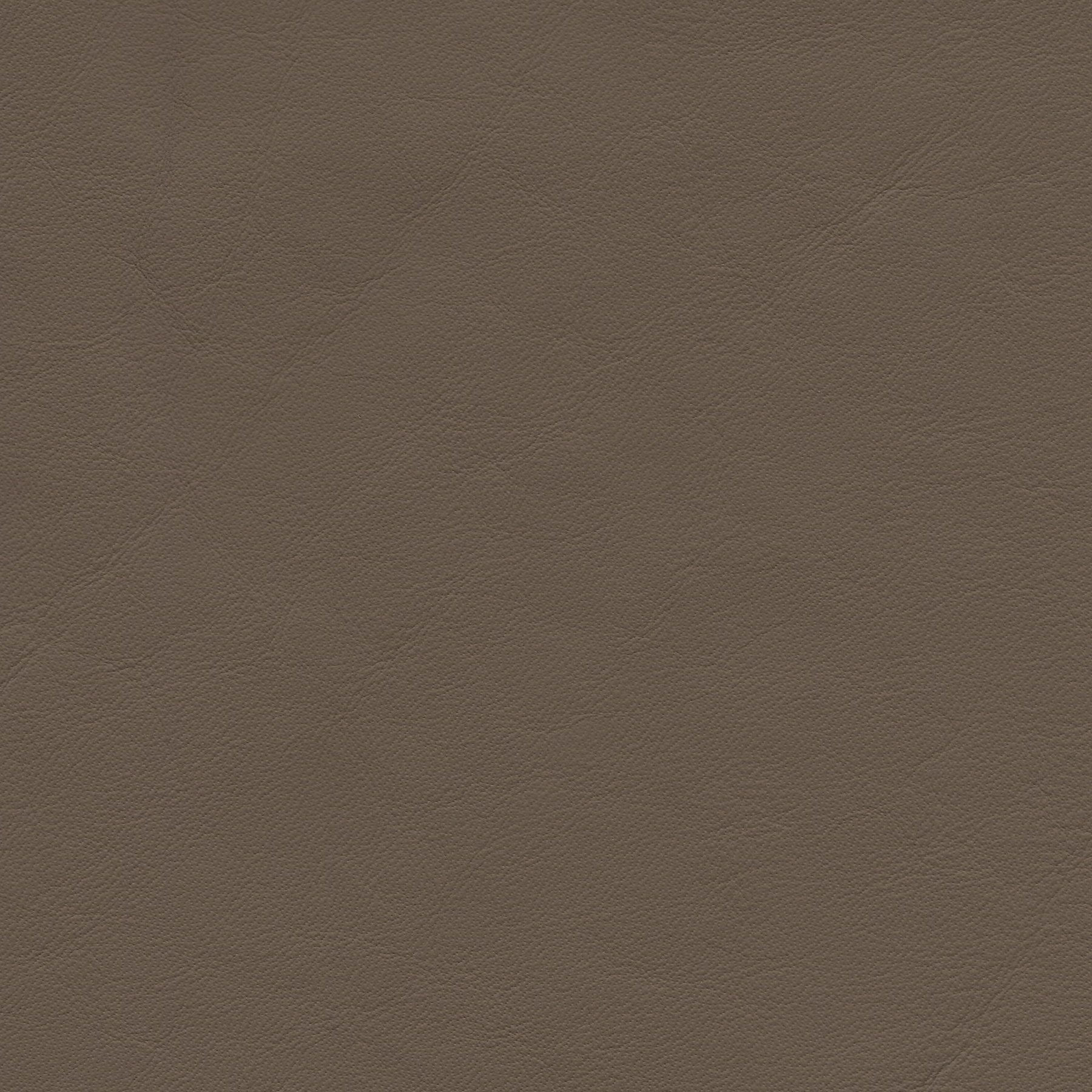 Como 1377 schlammgrau