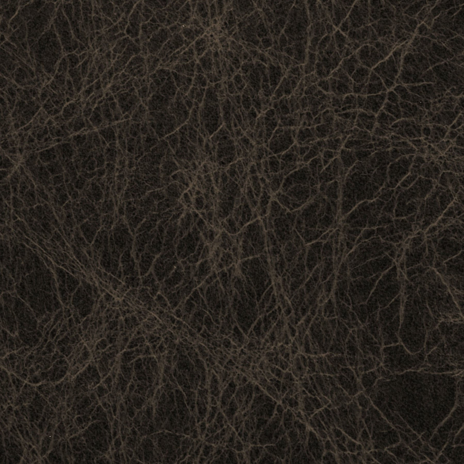 Pusta Shine 2124 chocolate