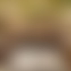 Bungalow restaurant new york city