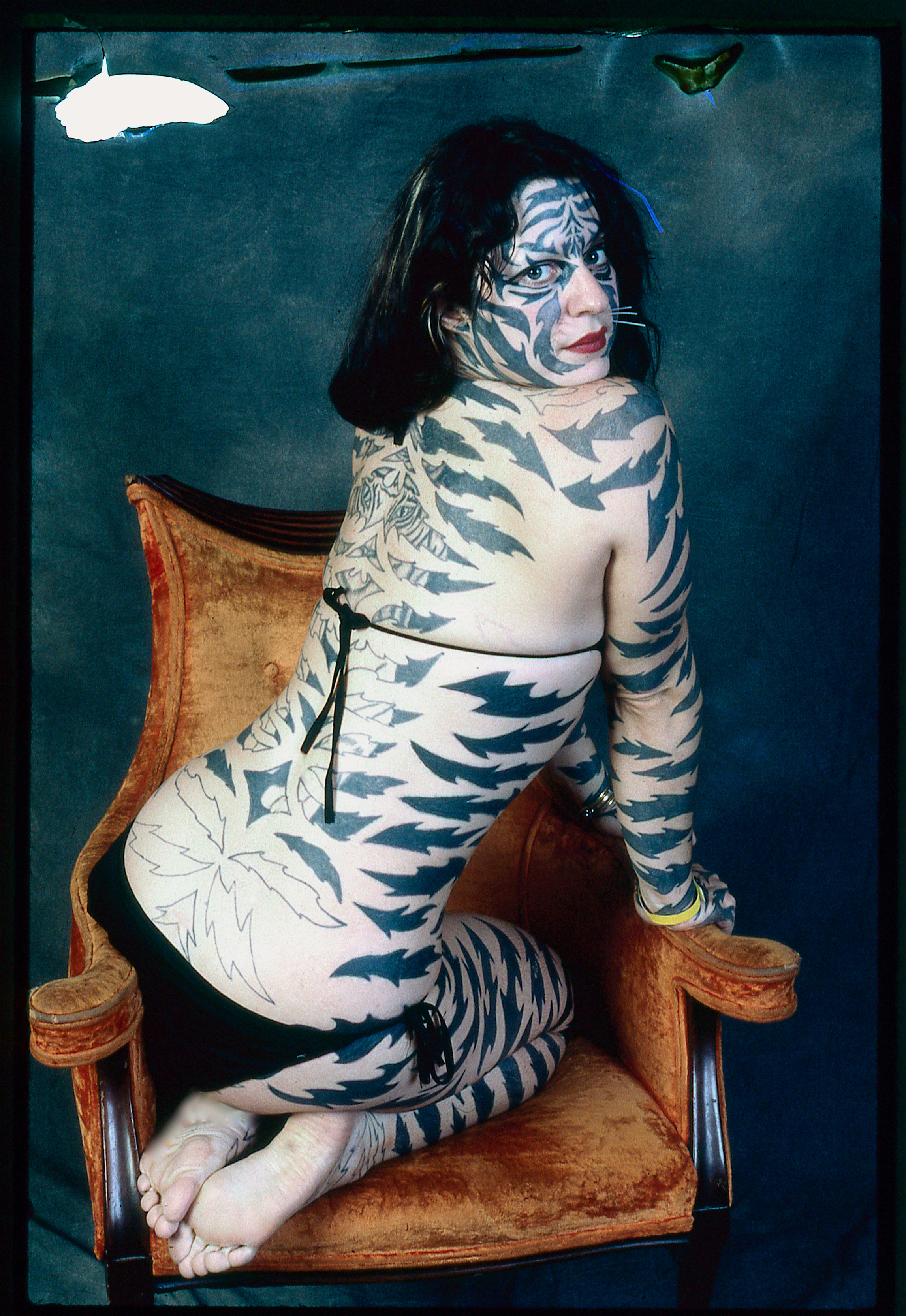 Katzen -by ElviaIannacconeGezlev, 2002