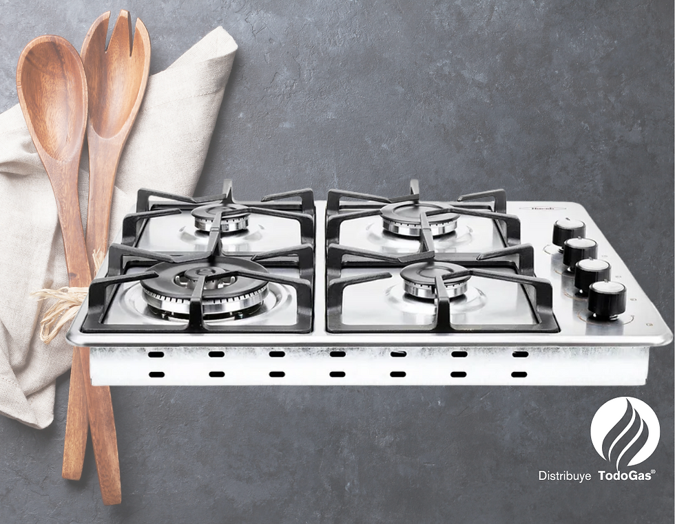 CUBIERTA INOX HACEB 60X43 HF