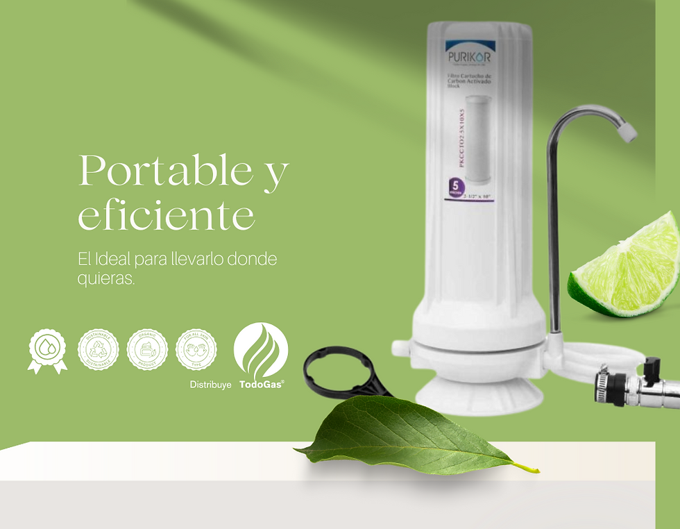 FILTRO DE AGUA PORTABLE