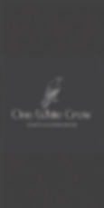 One White Crow_edited.jpg