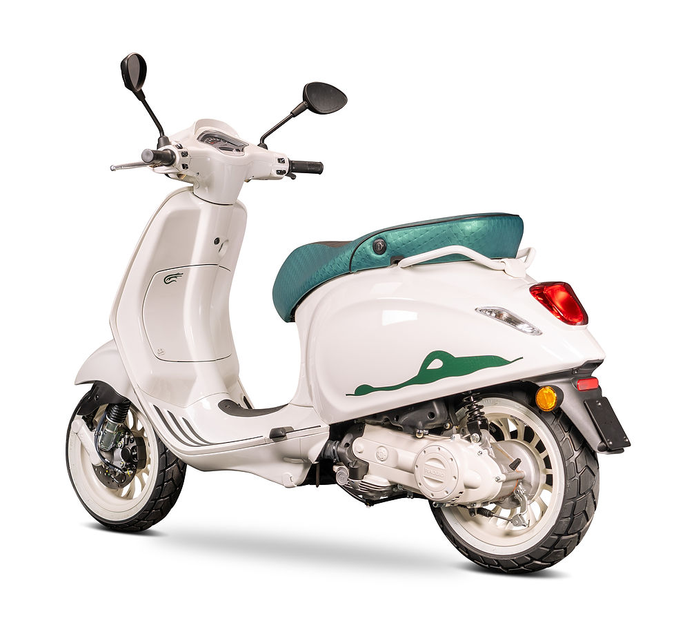 vespa_crazy_kroko_hinten.jpg
