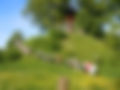 csm_fuehrungen_e09a3ea9bd.jpg