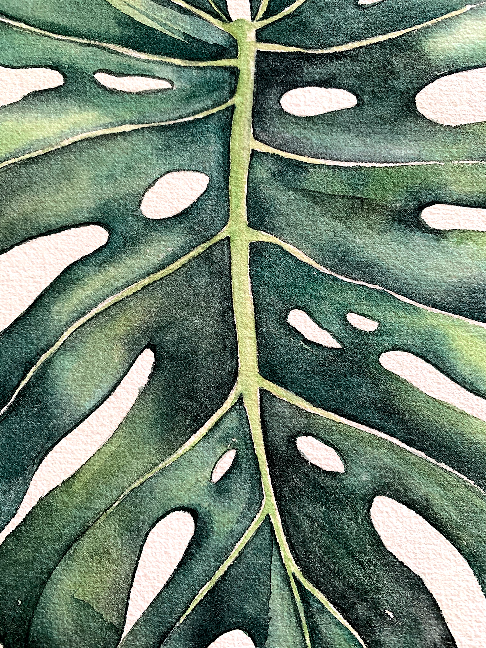 monstera