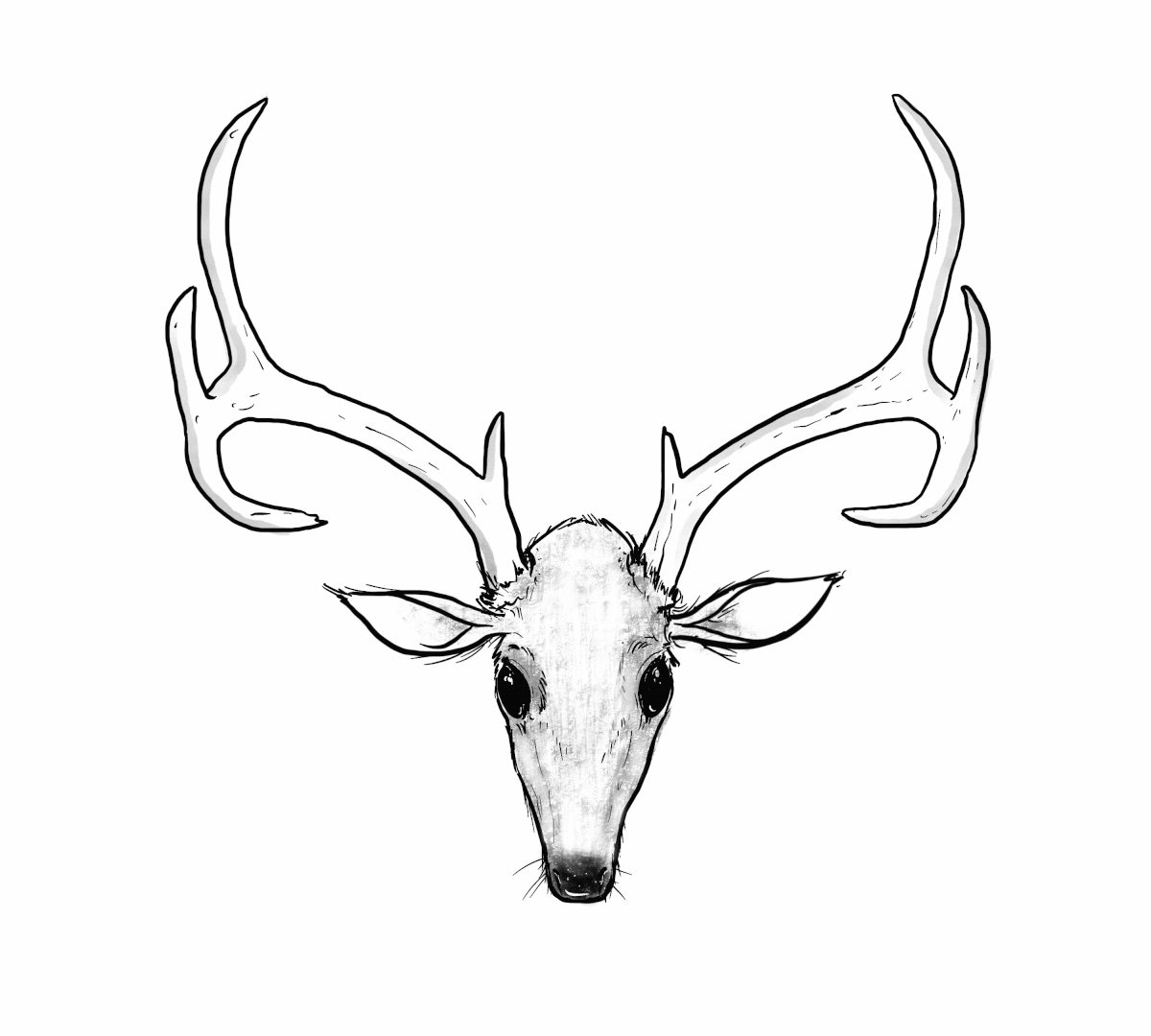 decay smaller.gif