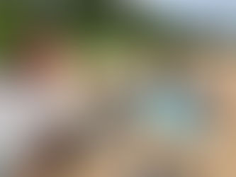 第8回エコチャアクション