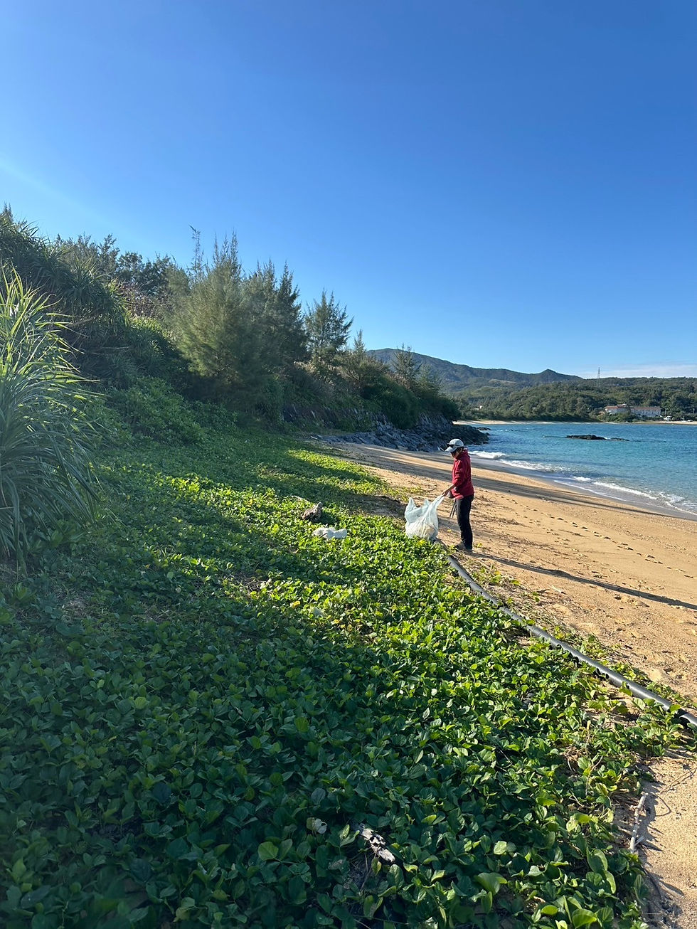 グンバイヒルガオの中は宝の山です。
