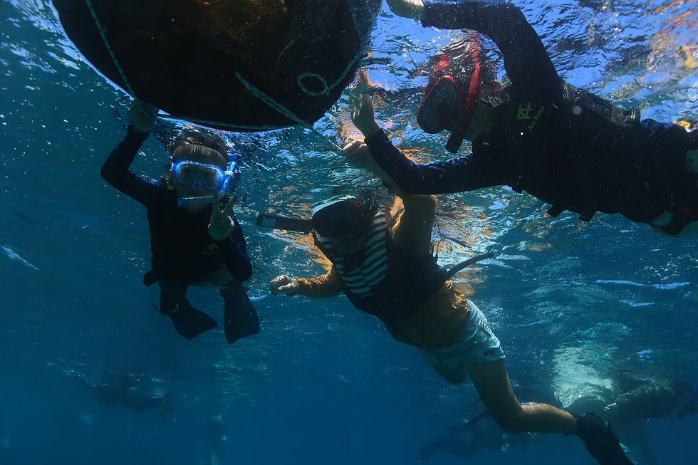 初めての海はどうだったかな?