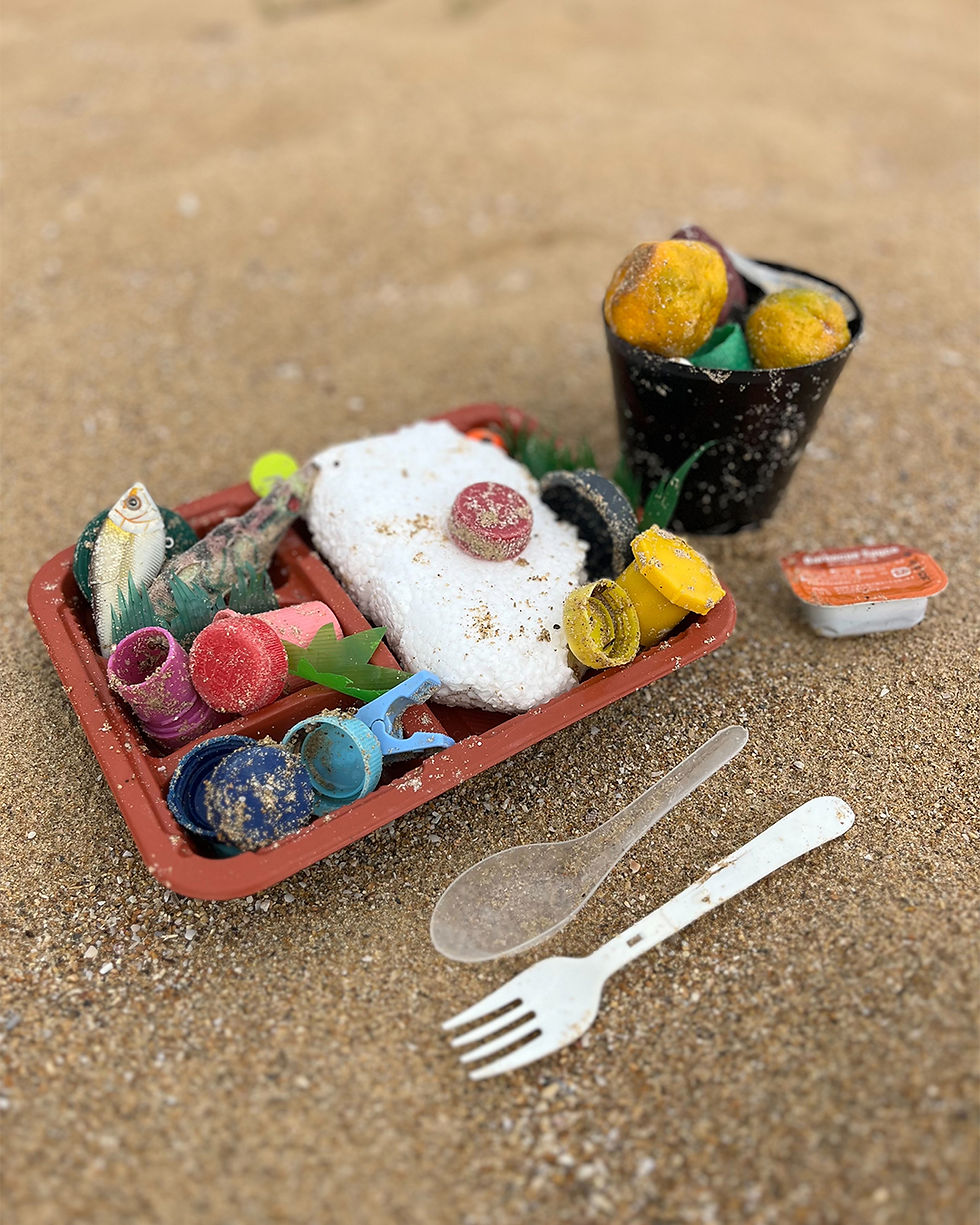 ゴミアートで作ったお弁当