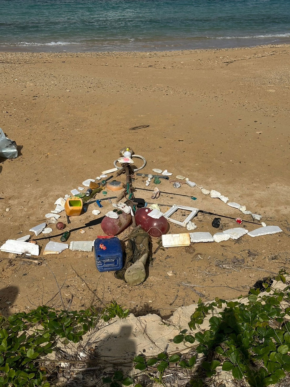 クリスマスツリーです!