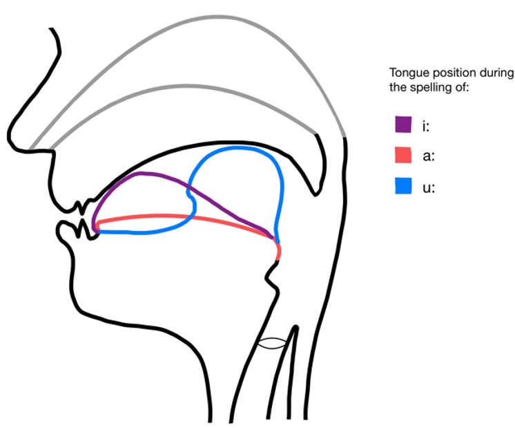 M8.L2. Lesson 2 Title | Hi Ling