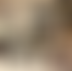 Wednesday in the Word