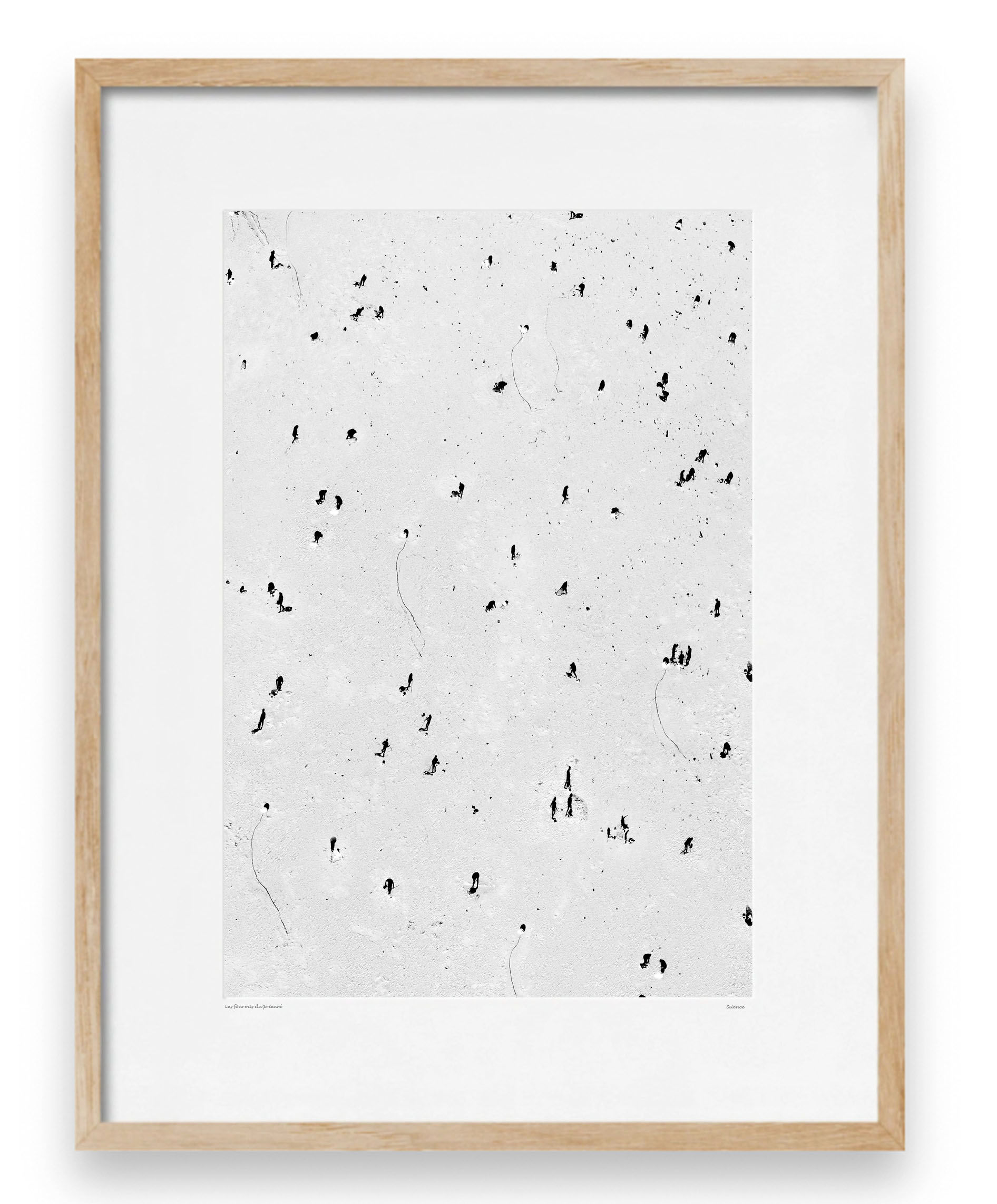 Les fourmis du Prieuré