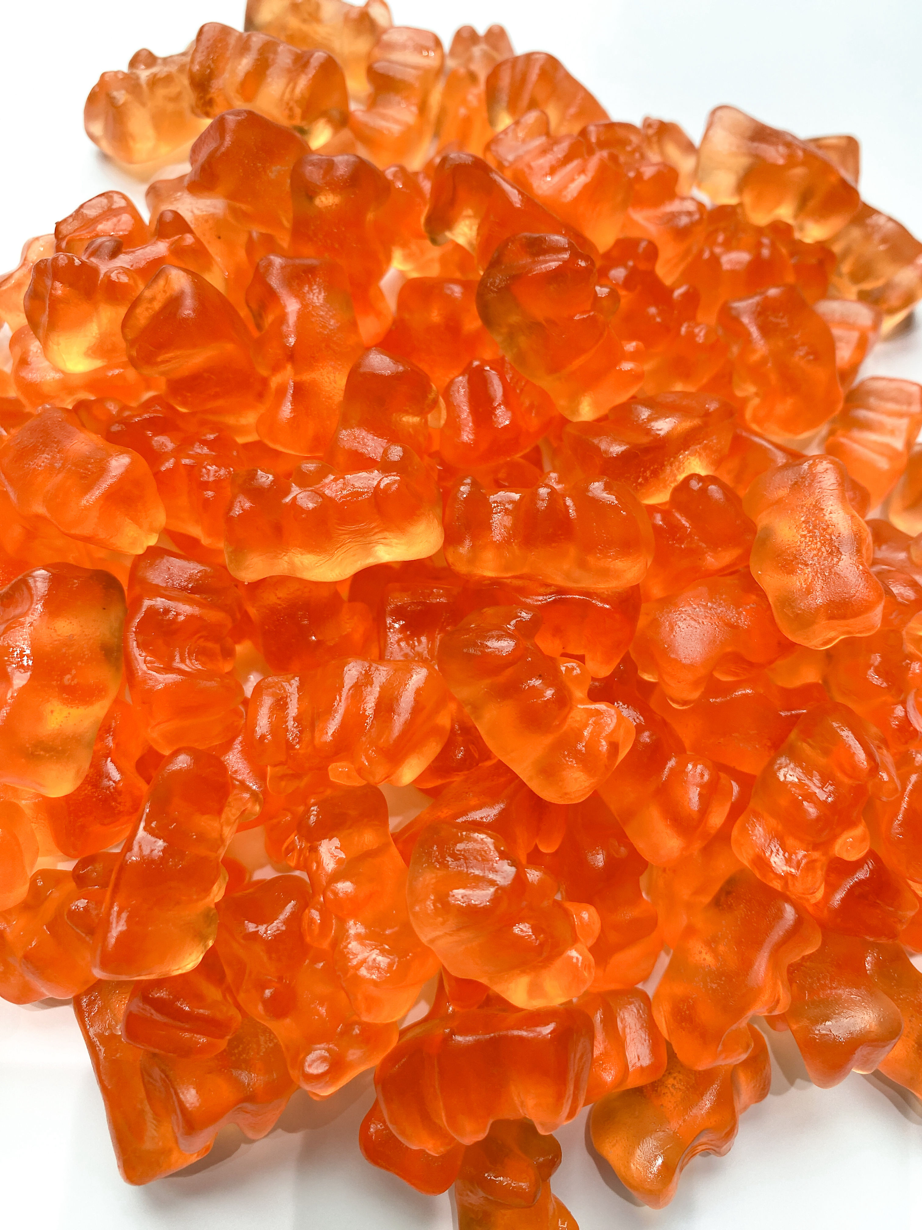 Bubbly Champagne Fun Bears