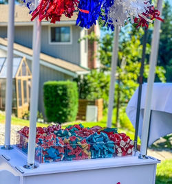 4th of July Kids Cart