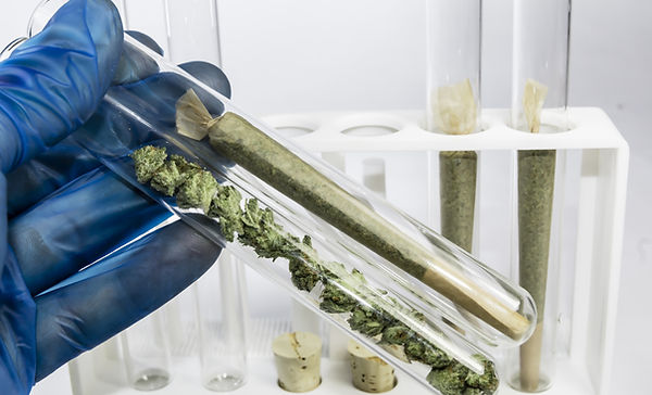 How to add conditions for medical marijuana in Ohio
